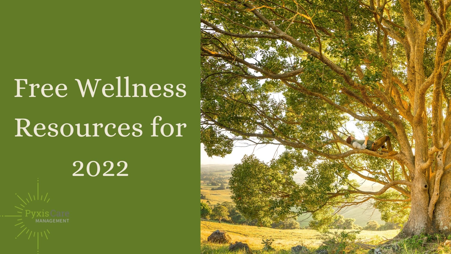 NEW for 2022: FREE Holistic Wellness Apps - PyxisCare